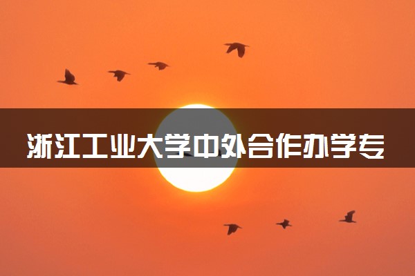 浙江工业大学中外合作办学专业有哪些 好就业吗