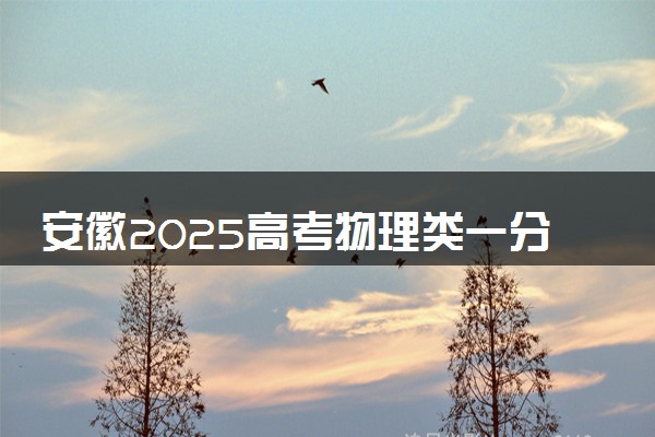 安徽2025高考物理类一分一段表最新 排名位次对照