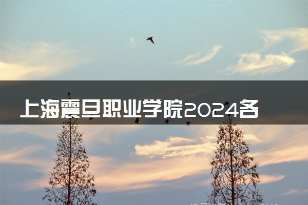 上海震旦职业学院2024各省录取分数线及最低位次是多少