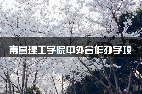 南昌理工学院中外合作办学项目有哪些 要出国吗