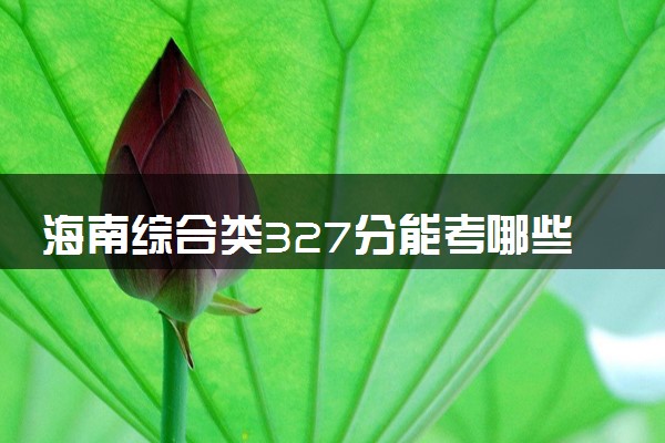 海南综合类327分能考哪些大学 2025考生稳上的大学名单