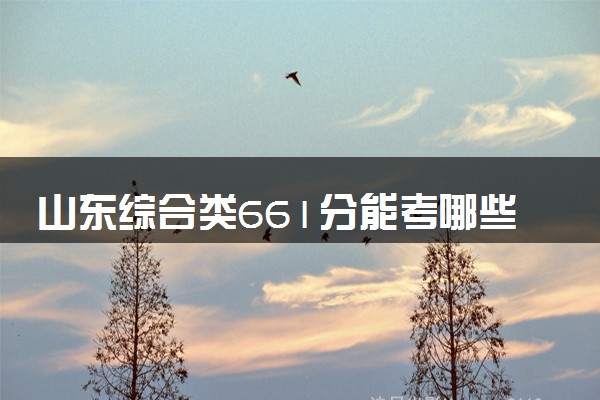 山东综合类661分能考哪些大学 2025考生稳上的大学名单