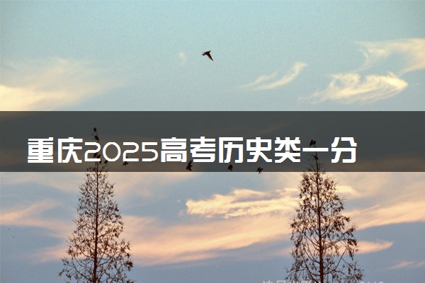 重庆2025高考历史类一分一段表最新 排名位次对照