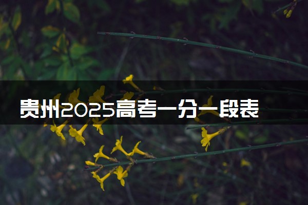 贵州2025高考一分一段表汇总 排名统计一览