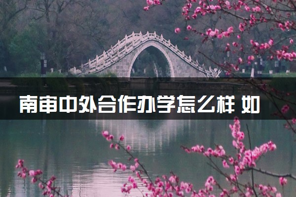 南审中外合作办学怎么样 如何报名