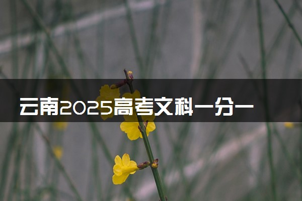 云南2025高考文科一分一段表最新 排名位次对照