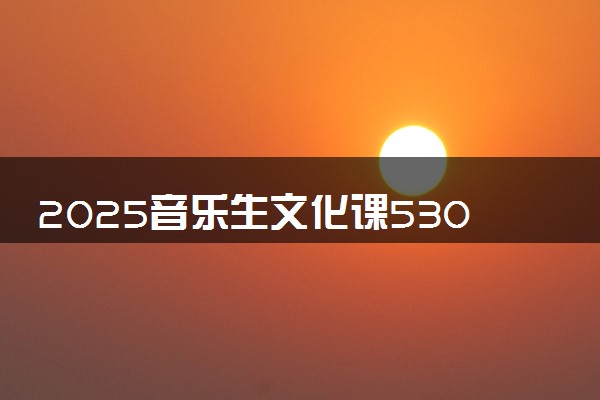 2025音乐生文化课530分能上宁夏大学吗