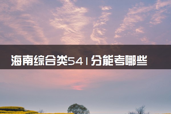 海南综合类541分能考哪些大学 2025考生稳上的大学名单