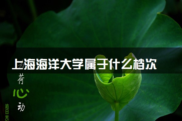 上海海洋大学属于什么档次 学校好不好