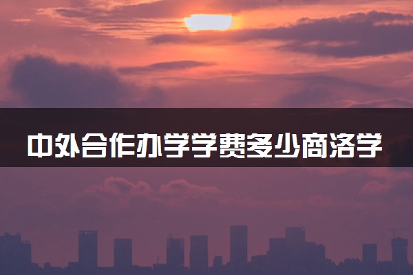 中外合作办学学费多少商洛学院 各专业收费标准一览
