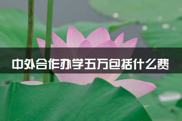 中外合作办学五万包括什么费用 一年住宿要花多少钱