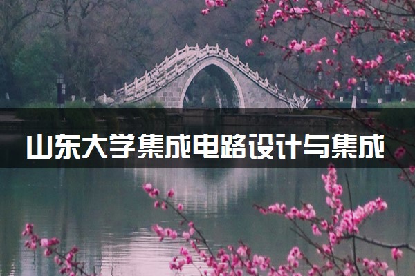 山东大学集成电路设计与集成系统专业怎么样 录取分数线多少