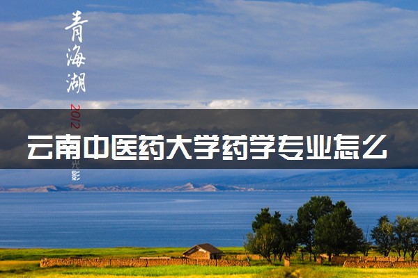 云南中医药大学药学专业怎么样 录取分数线多少