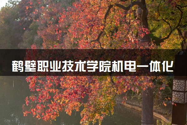 鹤壁职业技术学院机电一体化技术专业怎么样 录取分数线多少