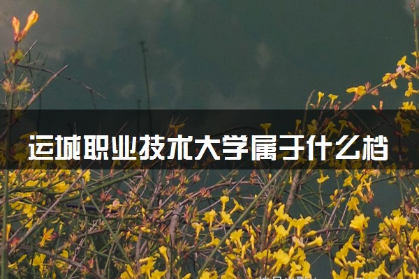 运城职业技术大学属于什么档次 学校好不好