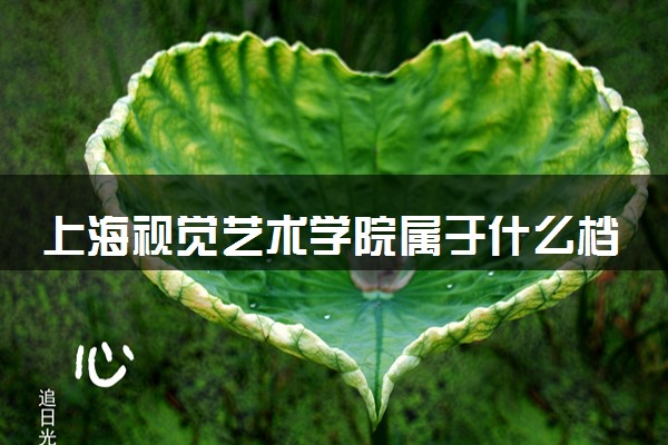 上海视觉艺术学院属于什么档次 学校好不好