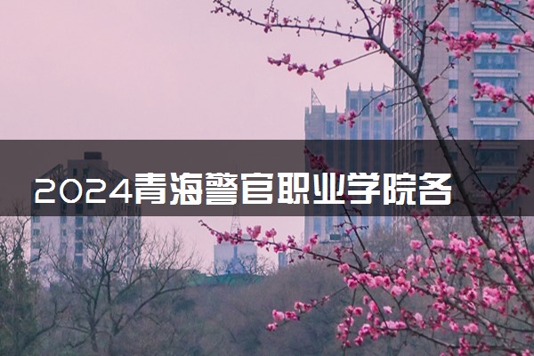 2024青海警官职业学院各省录取分数线是多少 最低分及位次