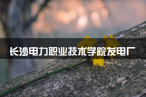 长沙电力职业技术学院发电厂及电力系统专业怎么样 录取分数线多少
