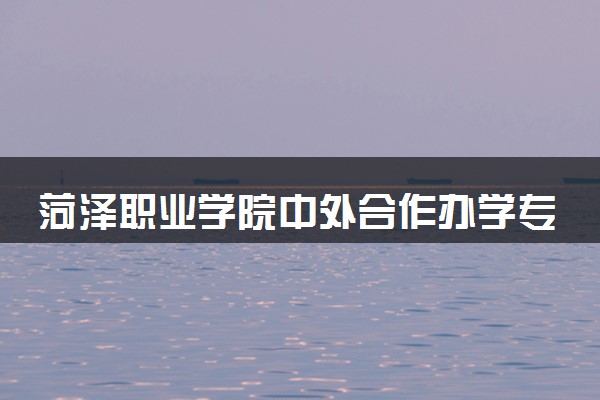 菏泽职业学院中外合作办学专业有哪些 好就业吗