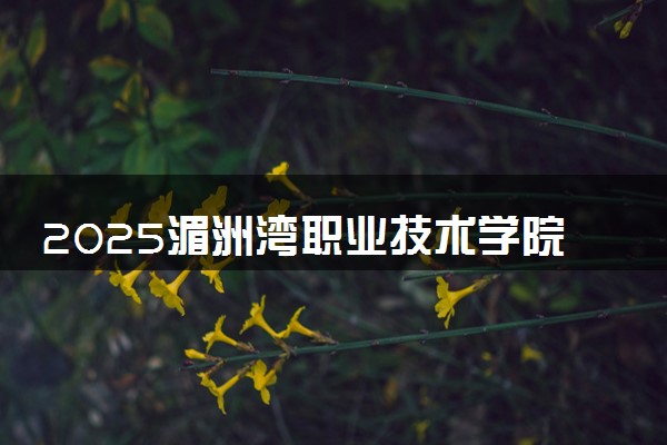 2025湄洲湾职业技术学院王牌专业有哪些 最好的专业是什么
