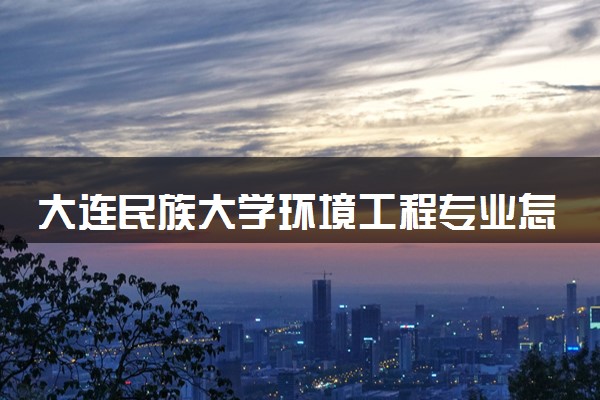 大连民族大学环境工程专业怎么样 录取分数线多少