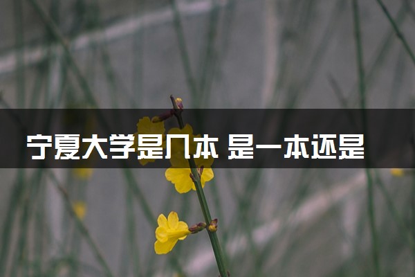 宁夏大学是几本 是一本还是二本大学