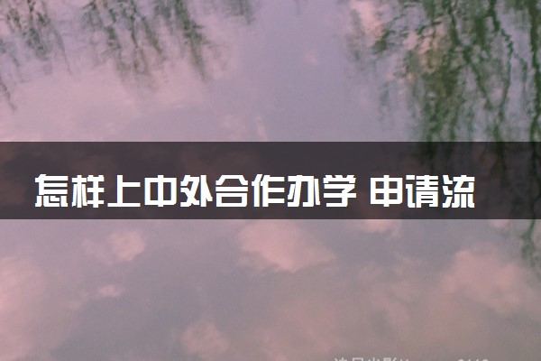 怎样上中外合作办学 申请流程是怎样的