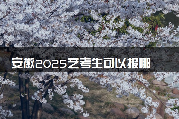 安徽2025艺考生可以报哪些大学 承认统考/联考成绩的院校