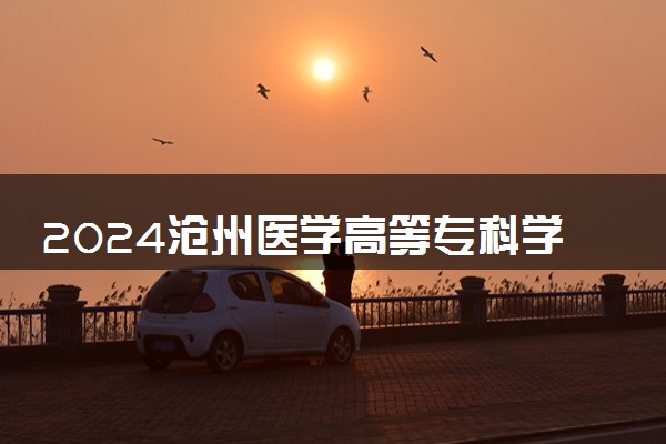2024沧州医学高等专科学校在宁夏录取分数线 各专业分数及位次