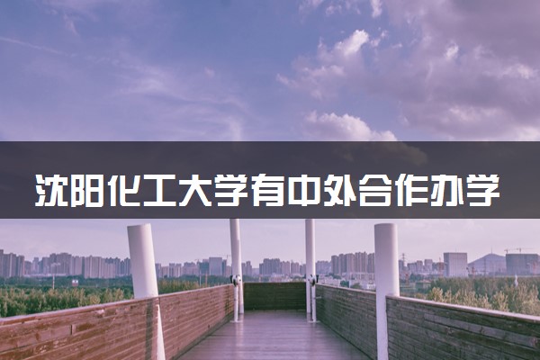 沈阳化工大学有中外合作办学吗 录取分数线是多少