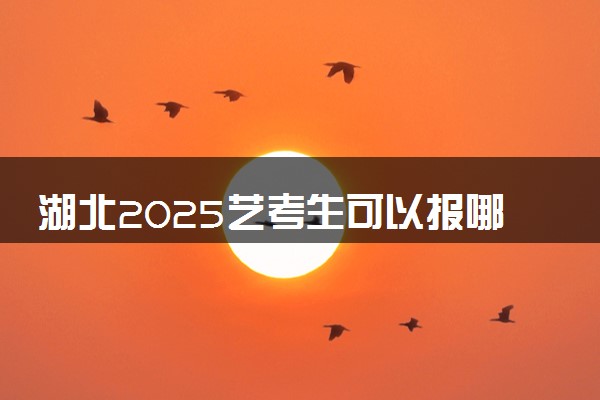 湖北2025艺考生可以报哪些大学 承认统考/联考成绩的院校