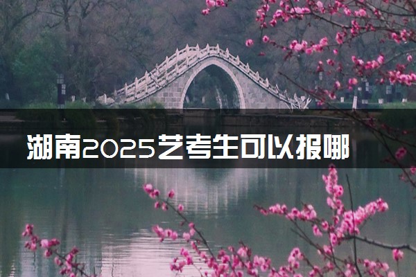 湖南2025艺考生可以报哪些大学 承认统考/联考成绩的院校