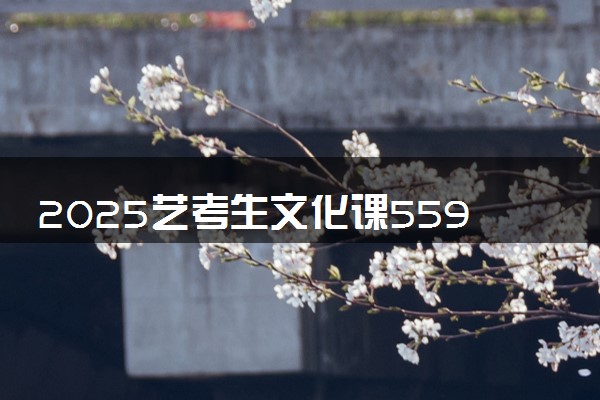 2025艺考生文化课559分能上安徽工业大学吗