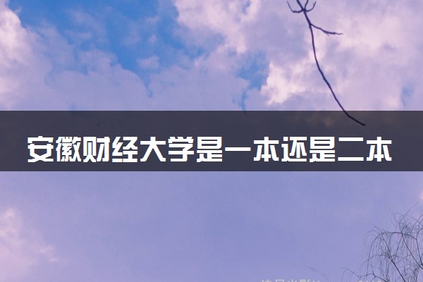 安徽财经大学是一本还是二本 算好大学吗