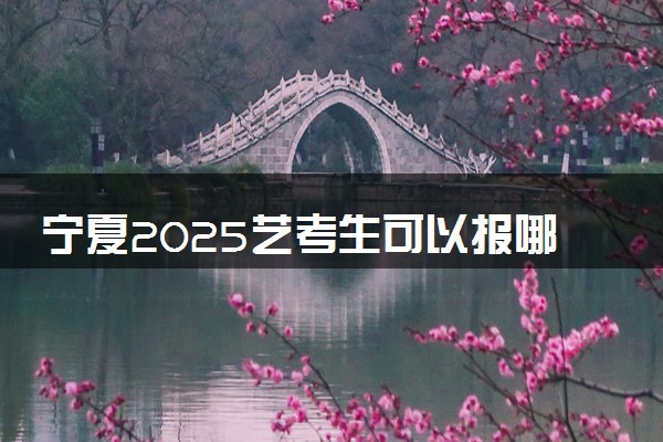 宁夏2025艺考生可以报哪些大学 承认统考/联考成绩的院校