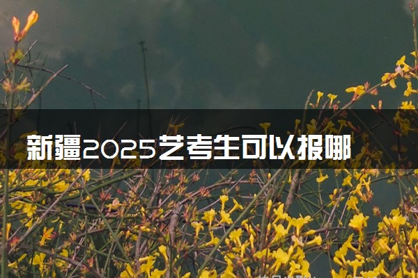 新疆2025艺考生可以报哪些大学 承认统考/联考成绩的院校