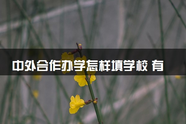 中外合作办学怎样填学校 有哪些注意事项
