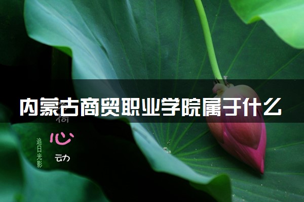 内蒙古商贸职业学院属于什么档次 学校好不好