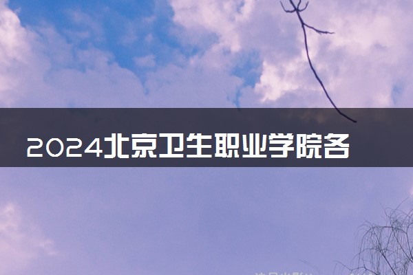 2024北京卫生职业学院各省录取分数线是多少 最低分及位次