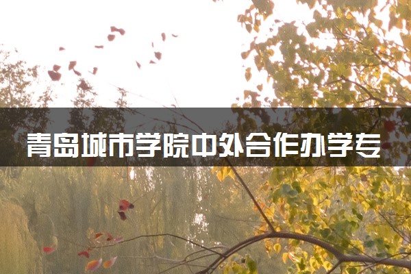 青岛城市学院中外合作办学专业有哪些 好就业吗