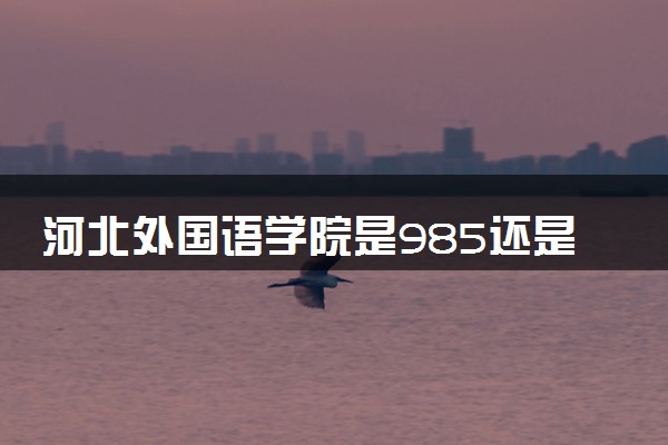 河北外国语学院是985还是211 含金量怎么样