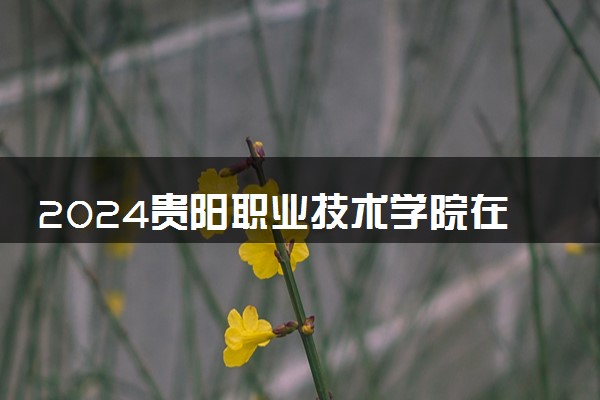 2024贵阳职业技术学院在四川录取分数线 各专业分数及位次