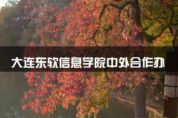 大连东软信息学院中外合作办学专业有哪些 好就业吗