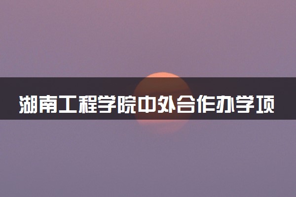 湖南工程学院中外合作办学项目有哪些 要出国吗