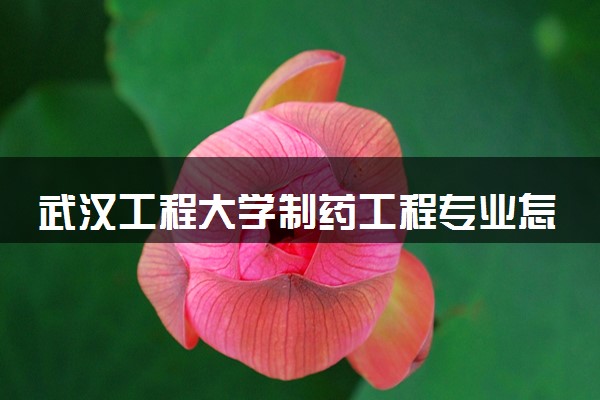 武汉工程大学制药工程专业怎么样 录取分数线多少