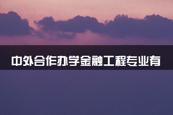中外合作办学金融工程专业有哪些大学 就业前景怎么样