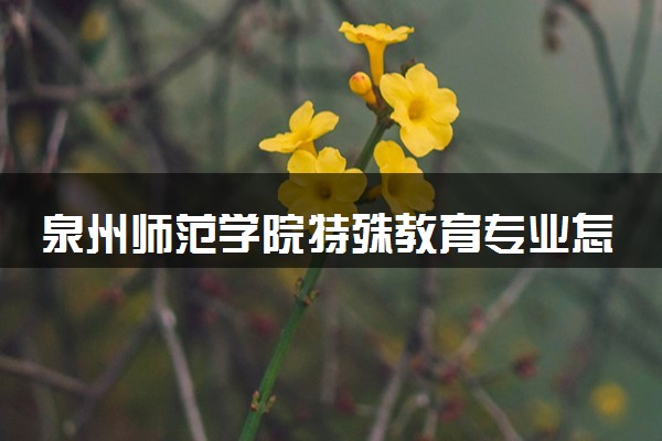 泉州师范学院特殊教育专业怎么样 录取分数线多少