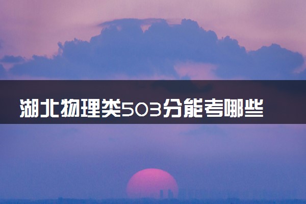 湖北物理类503分能考哪些大学 2025考生稳上的大学名单