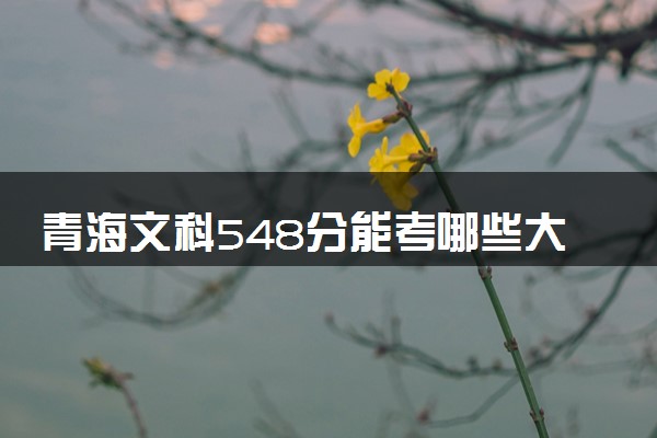 青海文科548分能考哪些大学 2025考生稳上的大学名单