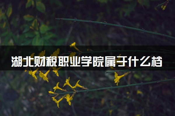 湖北财税职业学院属于什么档次 学校好不好